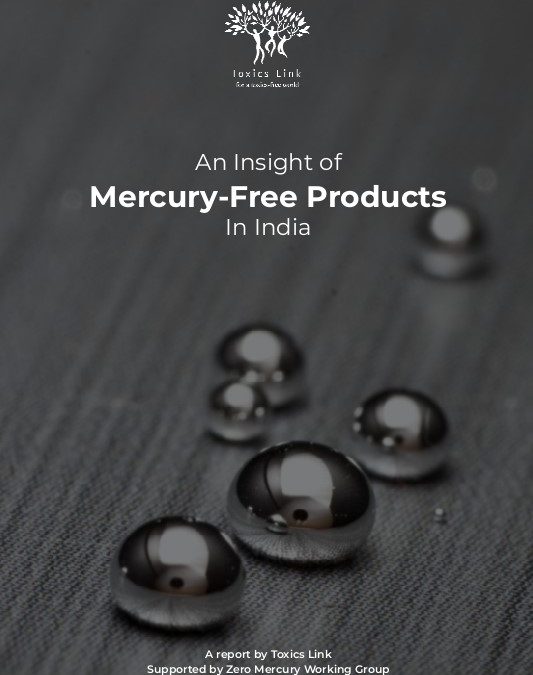 An Insight of Mercury-Free Products in India