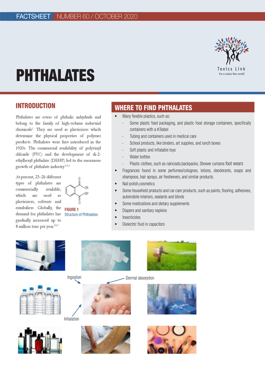 Factsheet No 60 on Phthalates