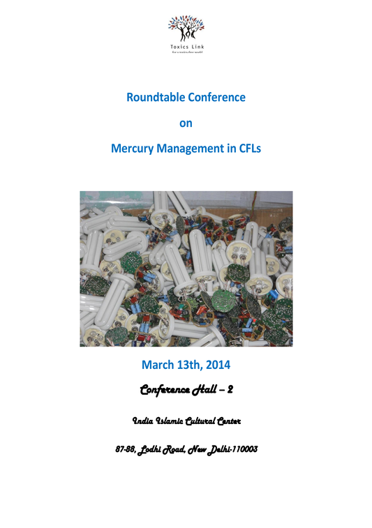 Roundtable Conference on Mercury Management in CFLs