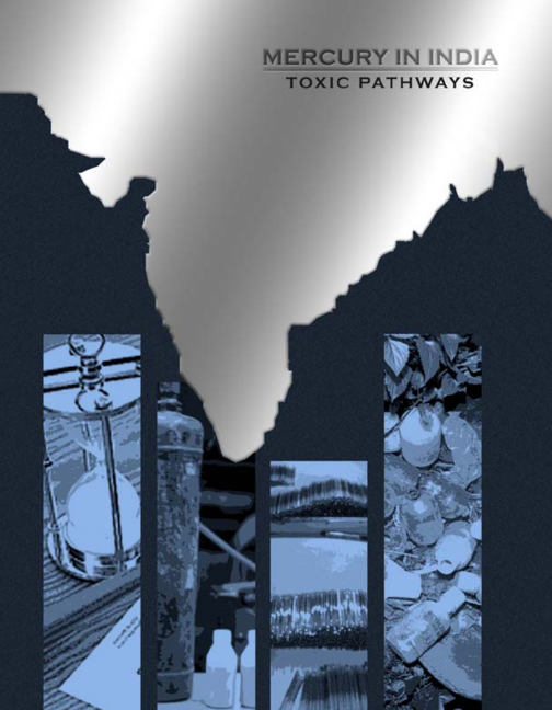 Mercury in India: Toxic Pathways