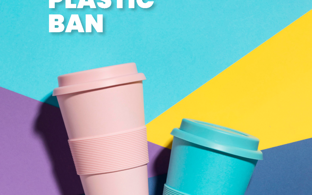 Revisiting Single Use Plastic Ban