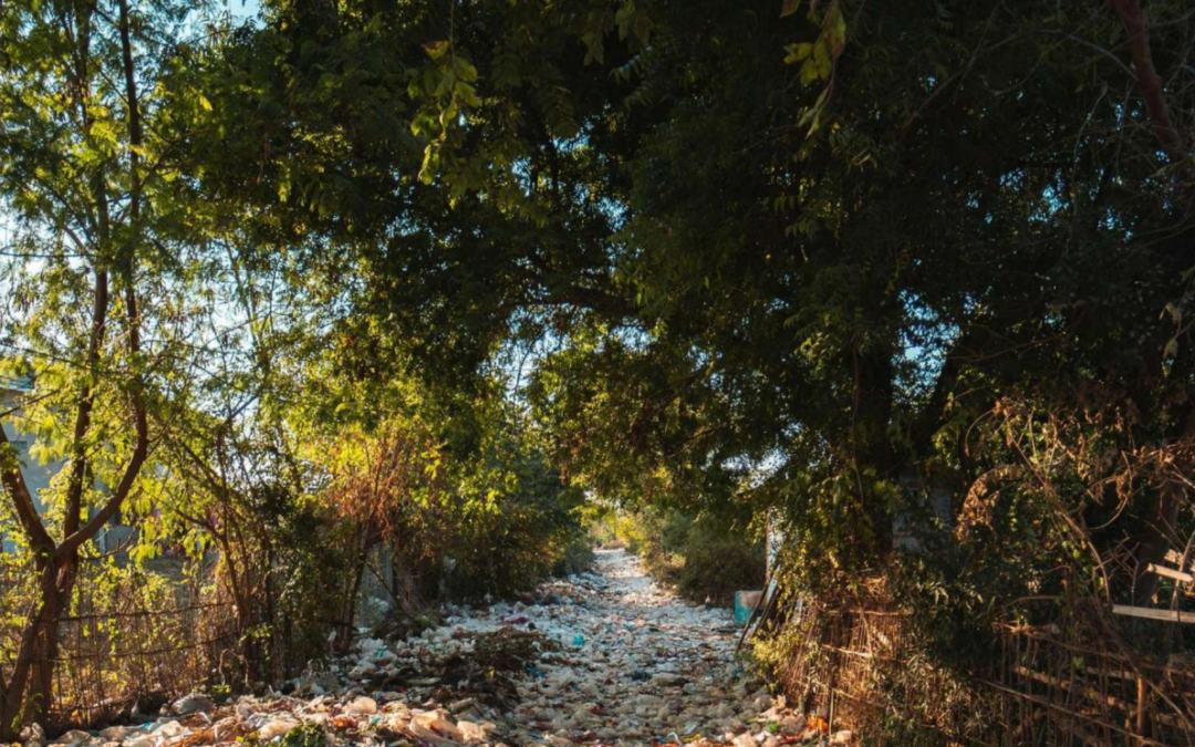 Phthalates and Bisphenols in India