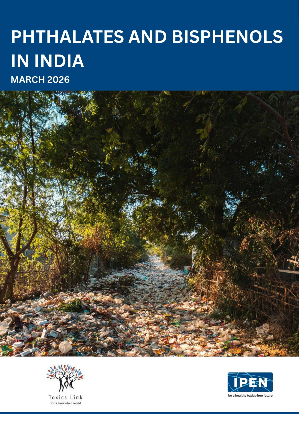 Phthalates and Bisphenols in India