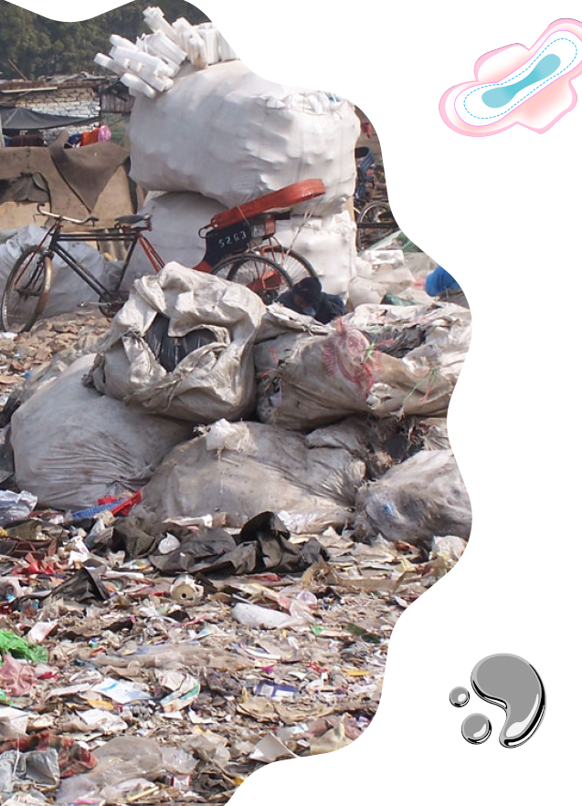 Invisible Pollutants, Visible Impacts for School focusing on Gender